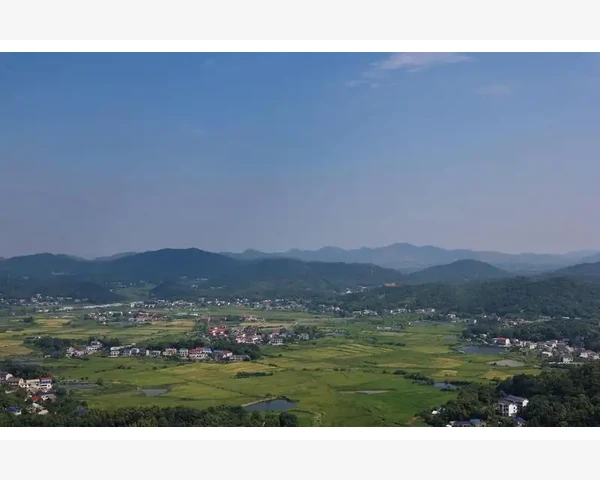 清肺化痰去湿：食物助您健康呼吸