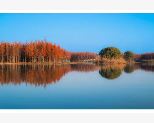B2B画布搭建企业共赢生态圈