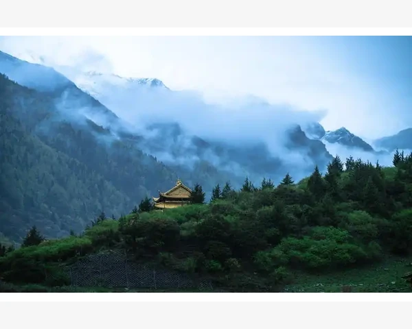 中医养生之道：解析调理肝火盛的穴位及方法