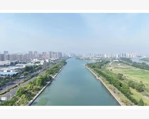 中药妙方：拯救气血不足的解药