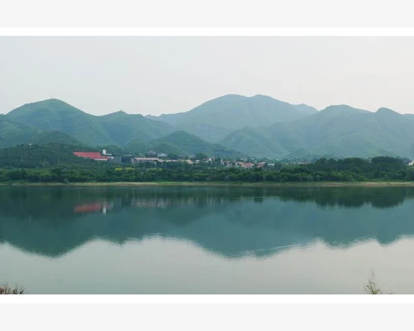 蜂蜜的神奇功效：化痰止咳原来如此！
