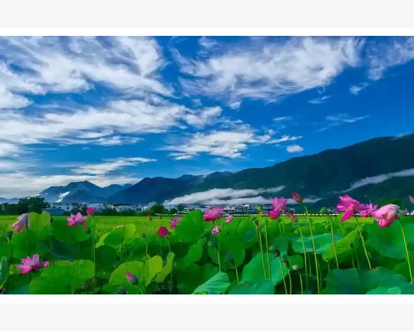 双脚出汗怎么办？中医告诉你吃什么可以调理！